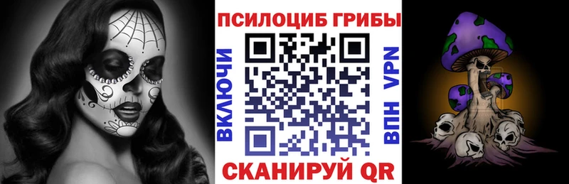 ссылка на мегу зеркало  где найти   Ужур  Галлюциногенные грибы мицелий 